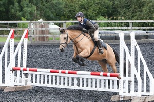 Class 5 - Fences not above 2'6